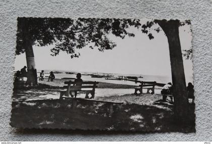 Cpsm, Arès, ombrages et vue sur le bassin, Gironde 33
