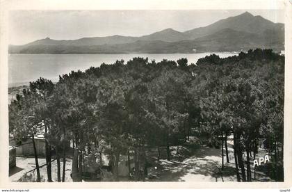 CPA Argeles sur Mer Pyr Or Les Pins la Mer Montagne