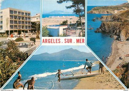 CPM Argeles sur Mer le Racou Souvenir