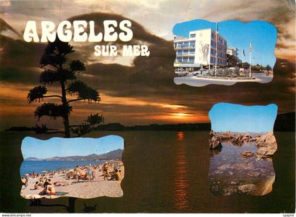CPM Argeles sur Mer Le Racou Souvenir