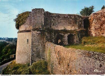 CPM Argenton Chateau D S Les Vestiges du Chateau