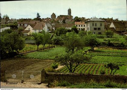 CPSM ARNAY-le-DUC vue générale