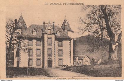 15 - ARPAJON SUR CERE - Château de Carbonat