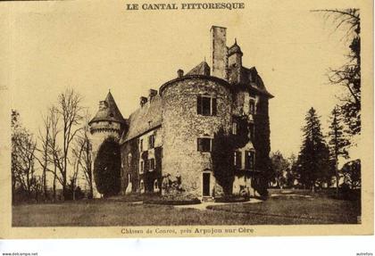 15    CHATEAU DE CONROS  PRES ARPAJON SUR CERE