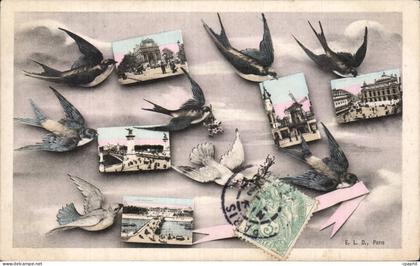 Paris - 1 - Souvenir - Oiseau - birds - CPA