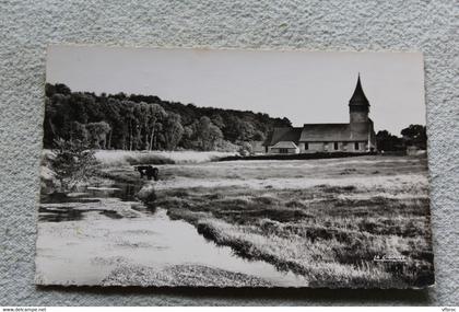Cpsm 1967, Auffay, les environs, saint Denis sur scie, Seine maritime 76
