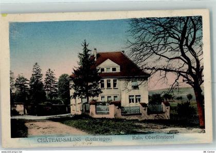 57170 Chateau-Salins 1916 - Oberförsterei Feldpost WK I - 10352830