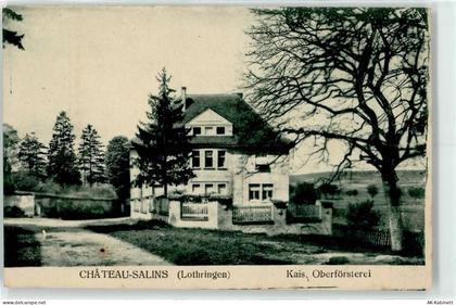 57170 Chateau-Salins - Kaiserliche Oberförsterei - 51637169