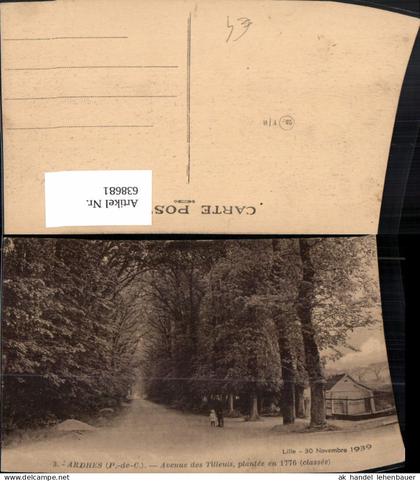 638681,Ardres Avenue des Tilleuls Bäume France