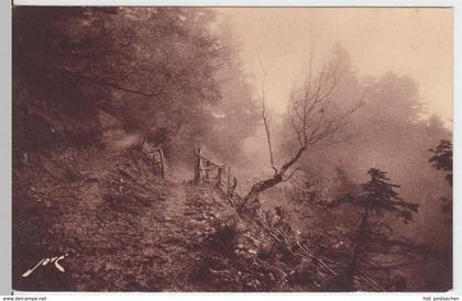 (6460) AK Luchon-Superbagneres, Wald, vor 1945
