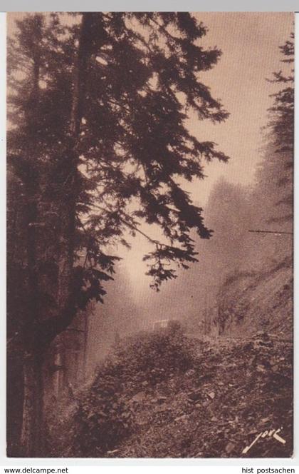 (6463) AK Luchon-Superbagneres, Wald, Eisenbahn, vor 1945