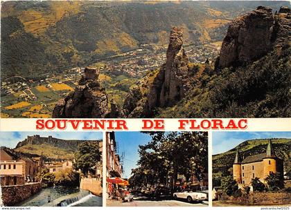 B50483 Florac car voiture  france