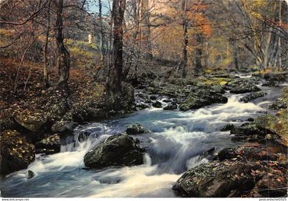 BF1259 france foret landscape  France