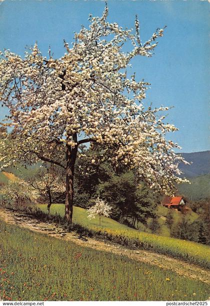 BF1382 landscape france   France