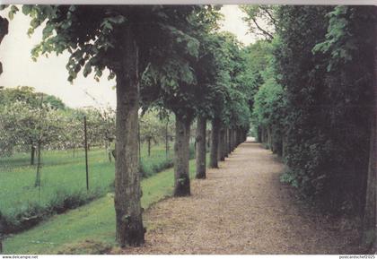 BF19999 sceurs auxiliatrices epinay sous senart france front/back image