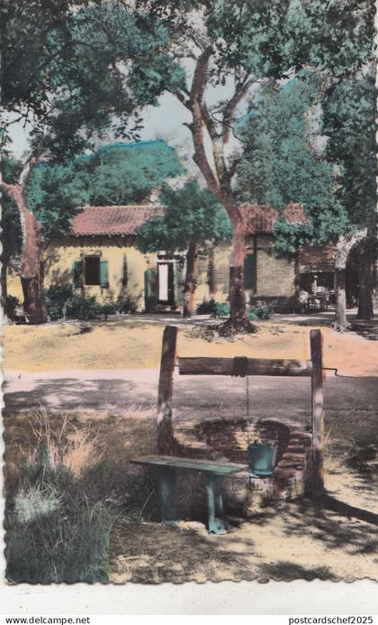 BF27286 noyers sur serein yonne bords du serein  france  front/back image