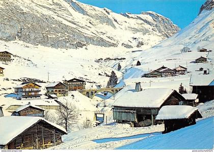 BF2874 le grand bornand le chinaillon france