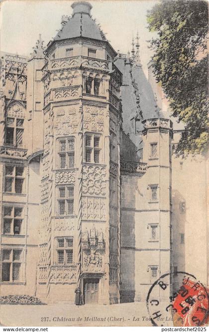 BF3842 chateau de meillant cher france