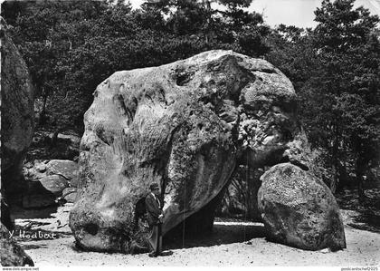 BR11307 Larchant Elephant france