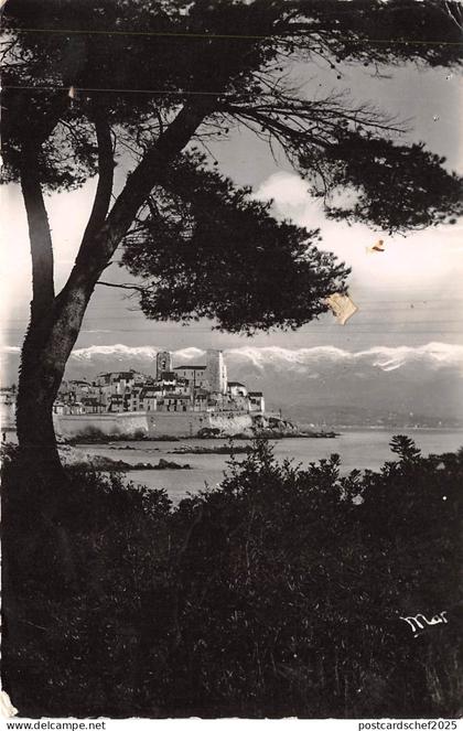 BR11449 Antibes Les remparts et les alpes   real photo  france