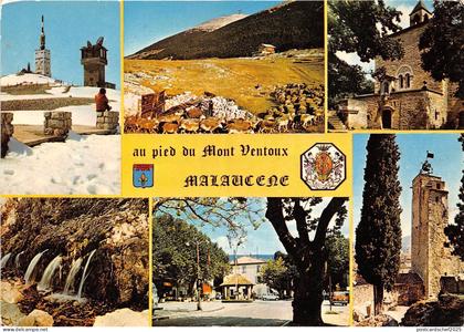 BR15477 Malaucene le sommet du Mont Ventaux    france