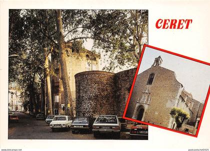 BR15967 Vallespir Ceret   France