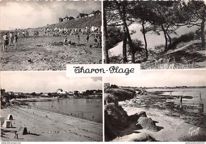 BR18202 Tharon plage  france