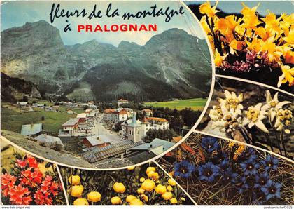 BR2097 Pralognan la Vanoise   france