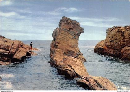 BR21633 Prefailles les roches Jumeaux  france