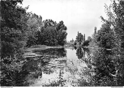 BR29012 Chateauneuf sur Charente la charente pittoresque france