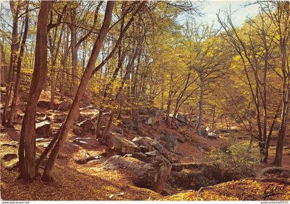 BR30981 Chevreuse aux Vaux de cernay France