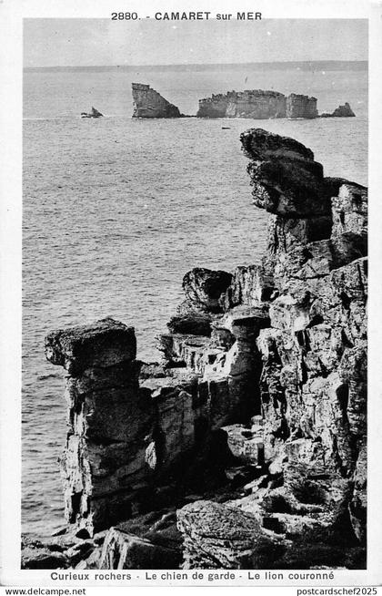 BR51125 Camaret sur mer le chien de garde France