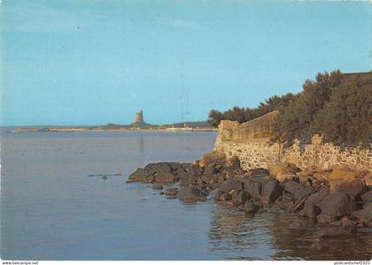 BR54269 Saint vaast la hougue maree haute sur la Presquile de la Hougue france