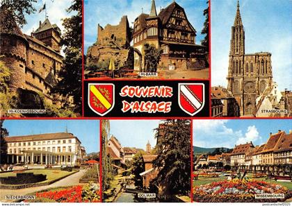 BT10281 Alsace      France