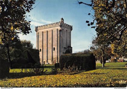 BT6334 Pons ancien chateau des Sires de Pons       France