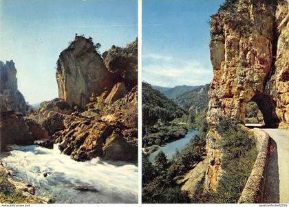 BT7963 Gorges du tarn le pas de soucy les tunnels       France