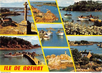 BT8938 Ile de Brehat l ile des fleurs flowers         France