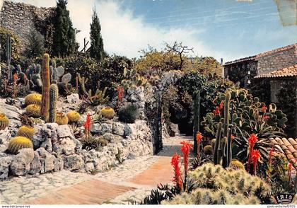 BT9956 Eze village le jardin exotique        France