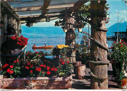 CPM Lac Leman Vue pittoresque sur le lac Leman