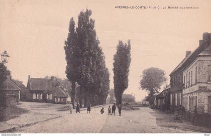AVESNES LE COMTE