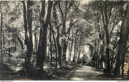 CPA Bagnoles-de-l'Orne  61/52