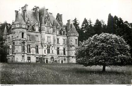 CPM Bagnoles-de l'Orne Tesse-la-Madeleine Orne Château de Roche-Bagnoles