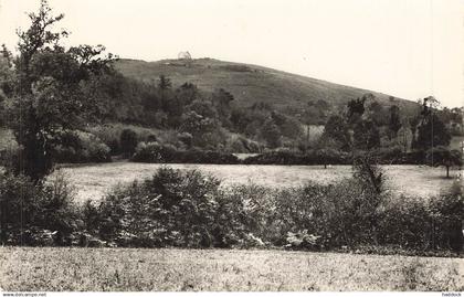 BAIS : CHAPELLE DU MONTEGU