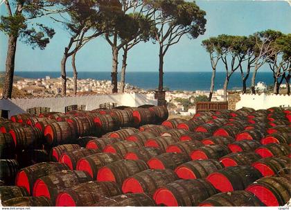 CPM Banyuls sur Mer PO Le Haut Lieu de Banyuls et vue sur la ville