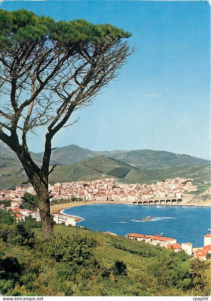 CPM Banyuls sur Mer PO Vue panoramique sur la Rade la Plage et la Ville