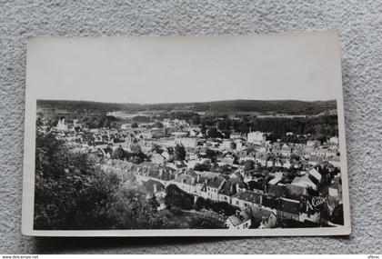 Cpsm, Bar sur Seine, vue panoramique, Aube 10