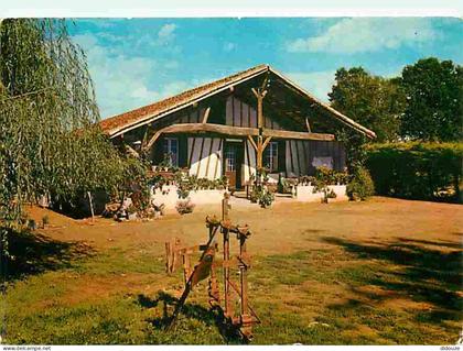 Carte Postale - 32 - Barbotan les Thermes - Ferme du Château de Bégué - Flamme Postale de Barbotan les Thermes - CPM - V