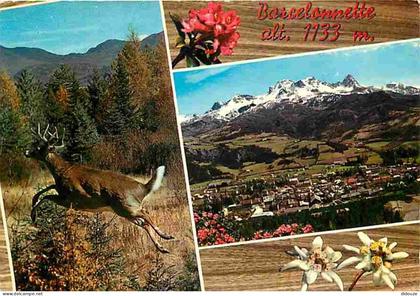 04 - Barcelonnette - Multivues - Fleurs - Cerf - CPM - Voir Scans Recto-Verso