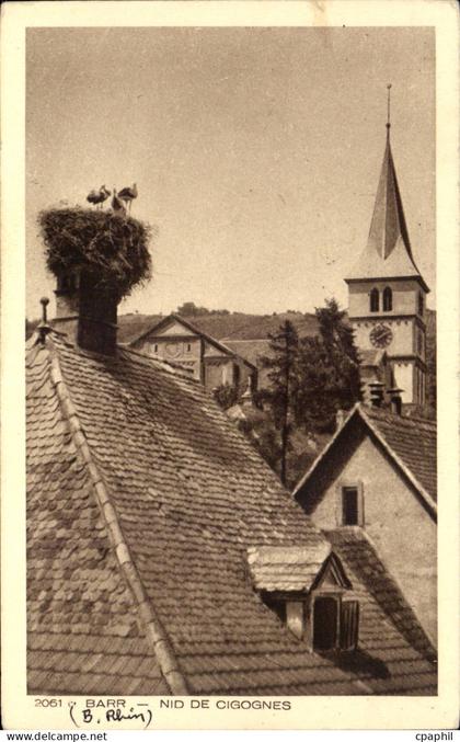 CPA Barr Nid de cigognes