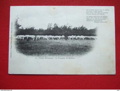 BASSE NORMANDIE - " SCENES NORMANDES N° 33 : LE TROUPEAU DE MOUTONS " - Carte pionnière